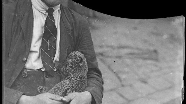 Making a positive of the negatives