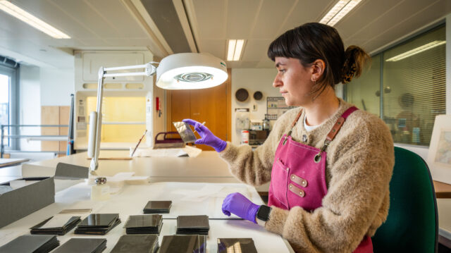 A conservator sits at a bench inspecting a glass plate negative. Further glass plate negatives are neatly arranged in piles next to her.