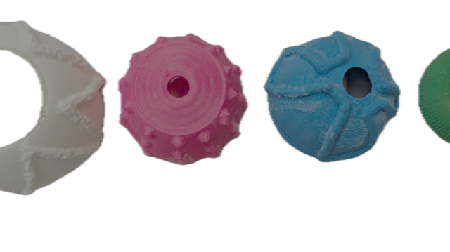 3D Printed Contemporary Anatomy Teaching Model 2