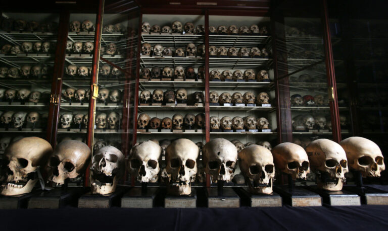 Skull room