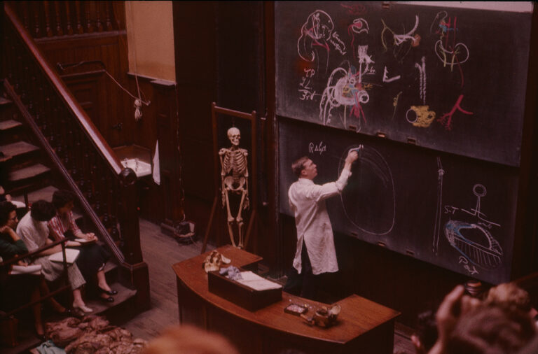 colour photograph of an anatomy classroom with lecturer drawing diagrams on chalkboard