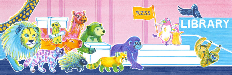 A colourful illustration of animals carrying archival material from Edinburgh Zoo to the University of Edinburgh Main Library.